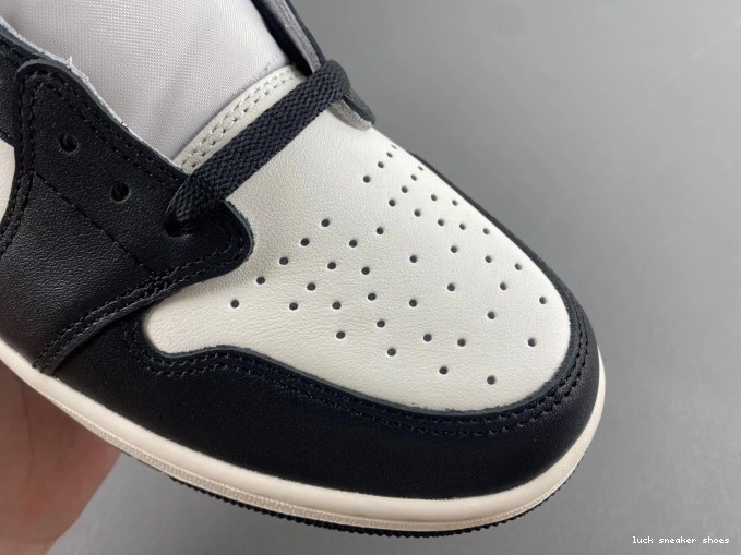 Rep LUCY Jordan CZ0790-102 OG 1 Air Mocha Low 0704